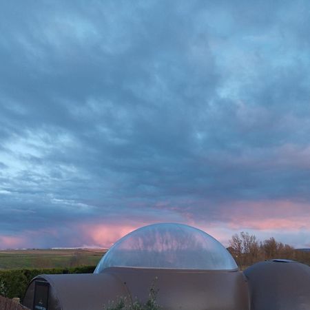 Cosmoveros - Hotel Burbuja Pedraza Eksteriør bilde