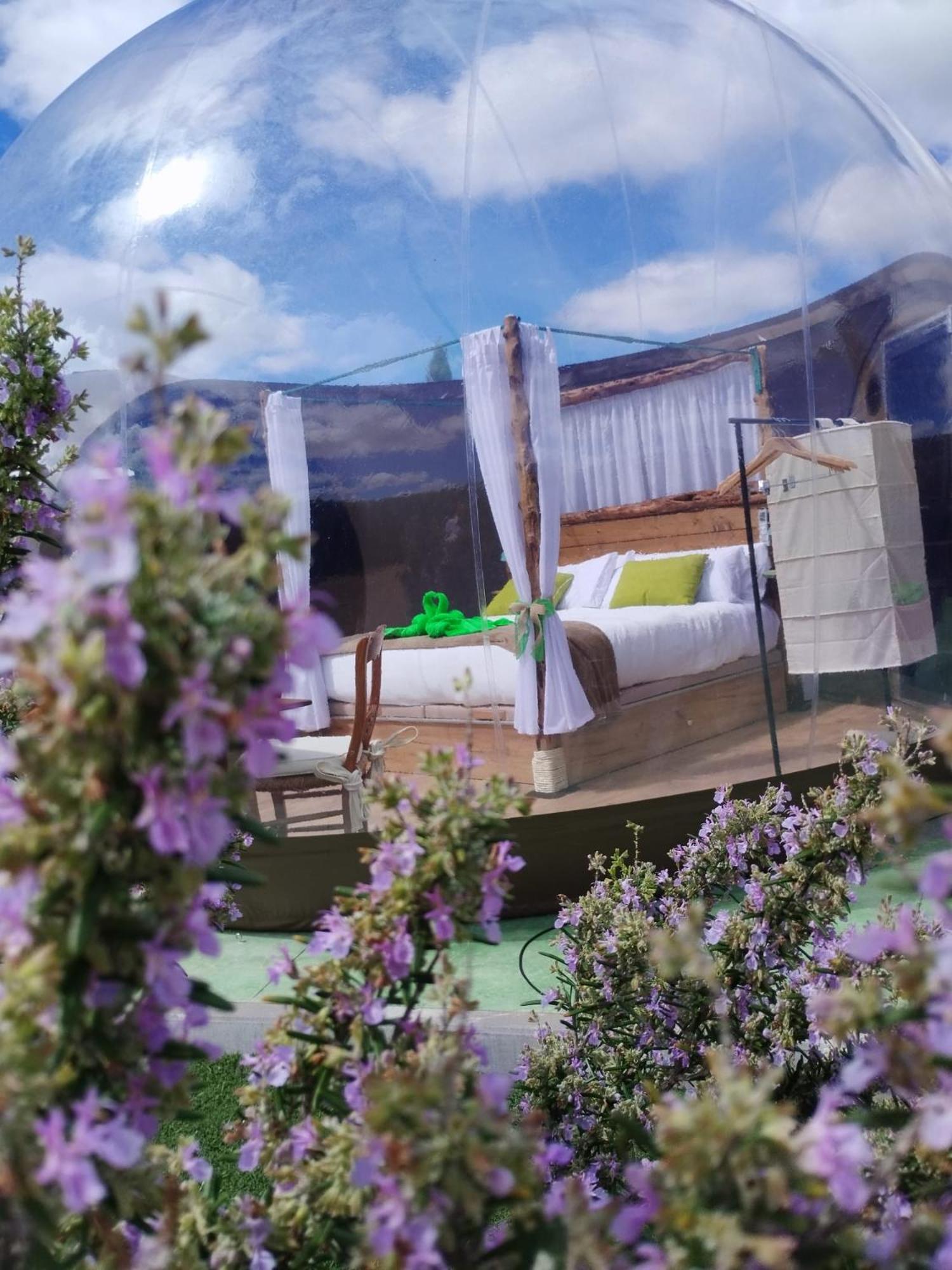 Cosmoveros - Hotel Burbuja Pedraza Eksteriør bilde